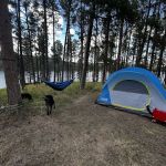 Sheridan Lake South Shore Campground