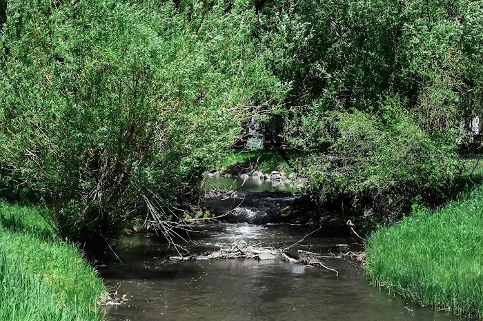 Firehouse Campground 3