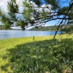 Whitetail Campground