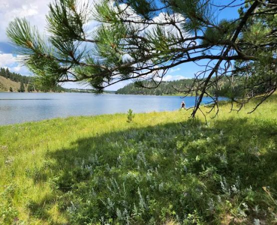 Whitetail Campground