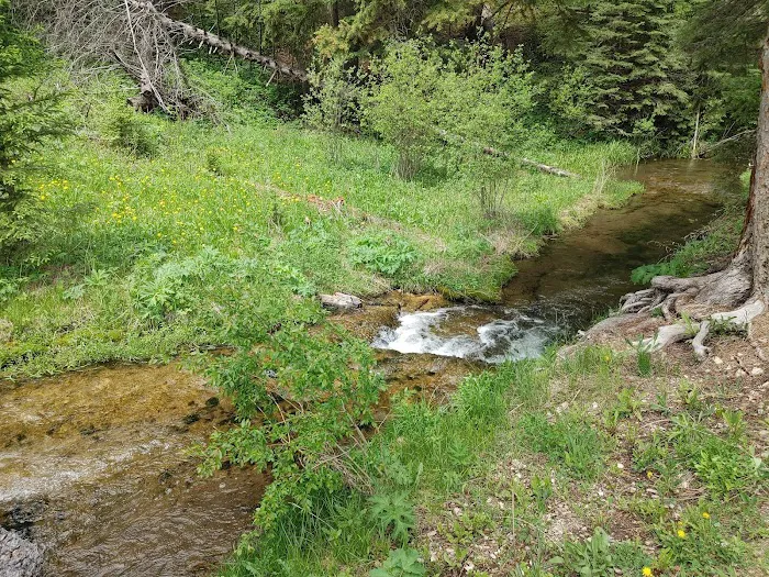 The Ditch Creek Campground 9
