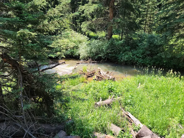 Castle Peak Campground 4