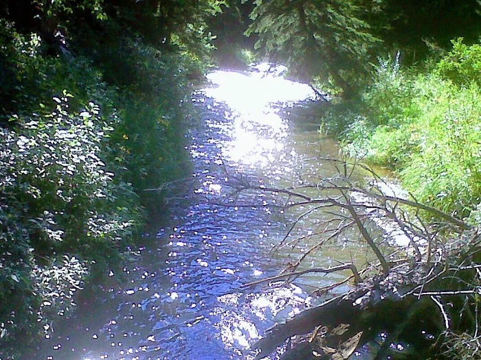 Castle Peak Campground 7