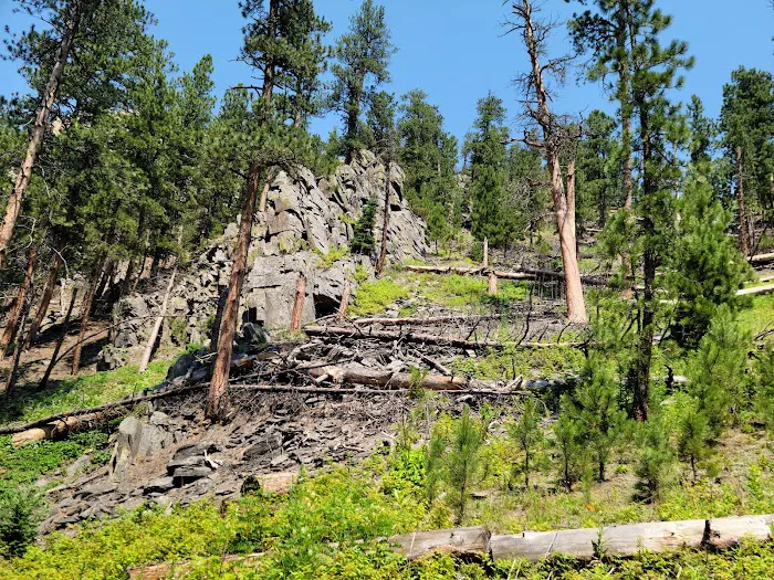 Castle Peak Campground 8