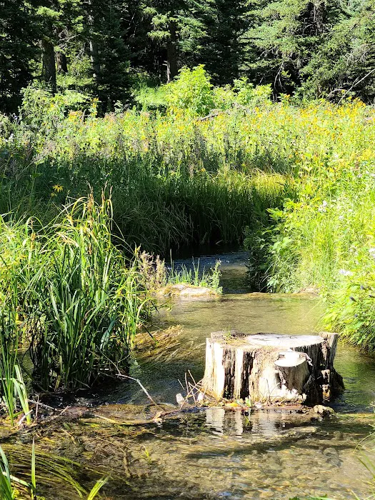 Beaver Creek Campground 3