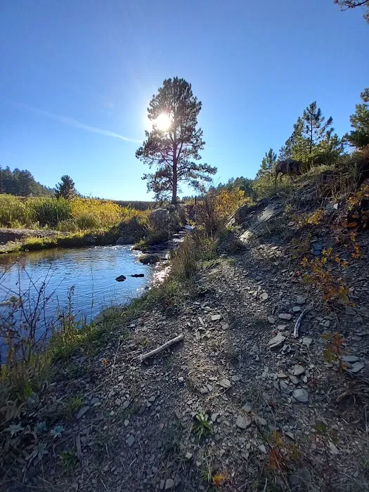 Roubaix Lake 8