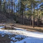 Bear Gulch Group Campground