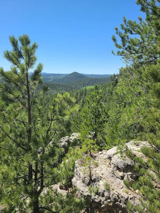 Whispering Pines Campground 8