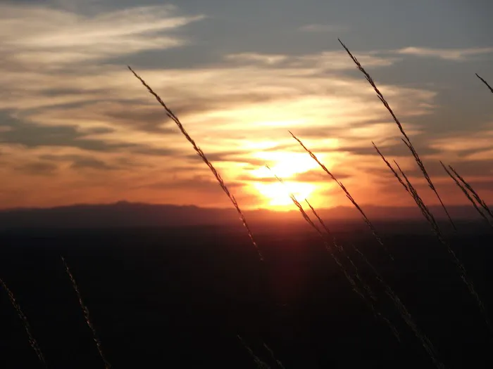 Allen Ranch Campground 3