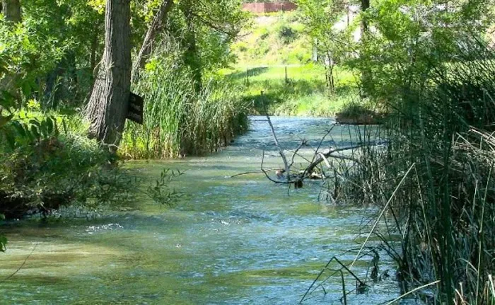 Allen Ranch Campground 9