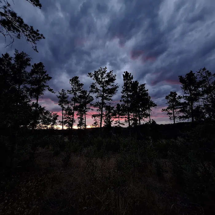 Cottonwood Springs Campground 6