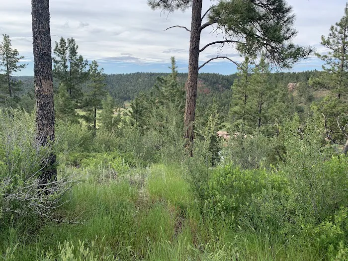 Cottonwood Springs Campground 5