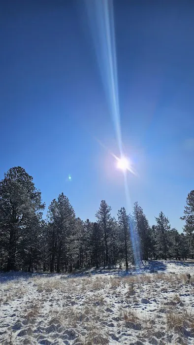 Highway 89 Dispersed Camp Site, Black Hills 1