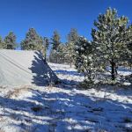 Highway 89 Dispersed Camp Site, Black Hills