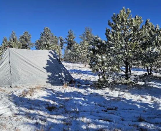 Highway 89 Dispersed Camp Site, Black Hills