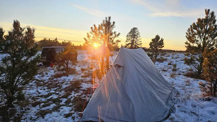 Highway 89 Dispersed Camp Site, Black Hills 2