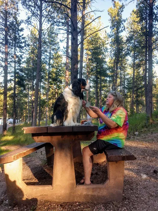 Pactola Reservoir Campground 0