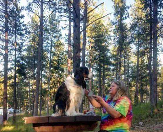 Pactola Reservoir Campground