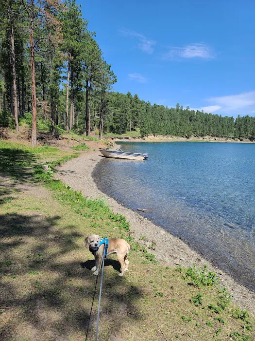 Pactola Reservoir Campground 4