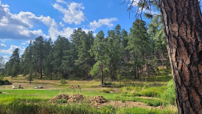 Nemo Guest Ranch 6