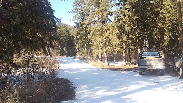 Boxelder Forks Campground 1