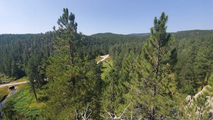 Boxelder Forks Campground 5