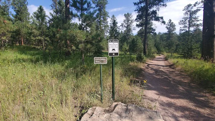 Boxelder Forks Campground 6