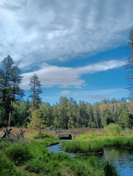 Boxelder Forks Campground 8