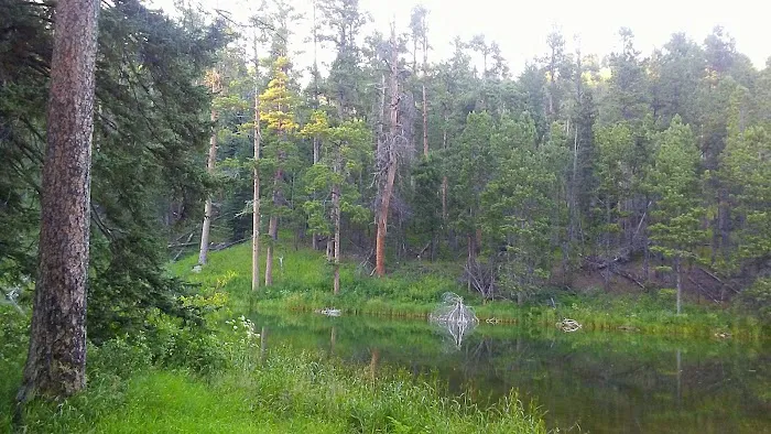 Dalton Campground 5