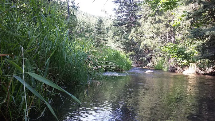Dalton Campground 7
