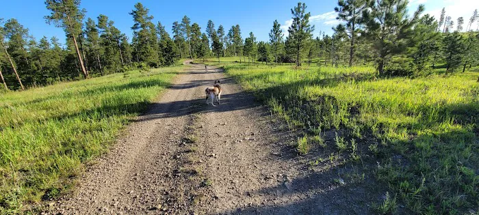 Custer Crossing Campground and Last Stand Cafe 5
