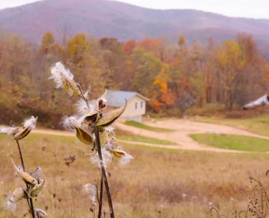4 Mile Rock Meadows RV Camping