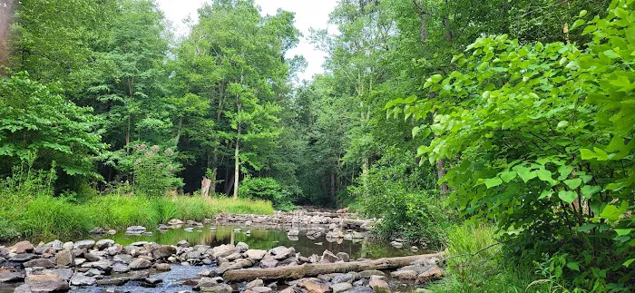 Chinquapin Hill Campground 0