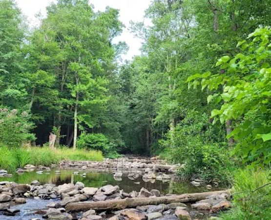 Chinquapin Hill Campground