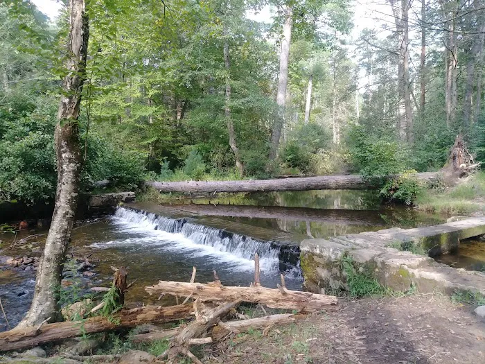 Chinquapin Hill Campground 1