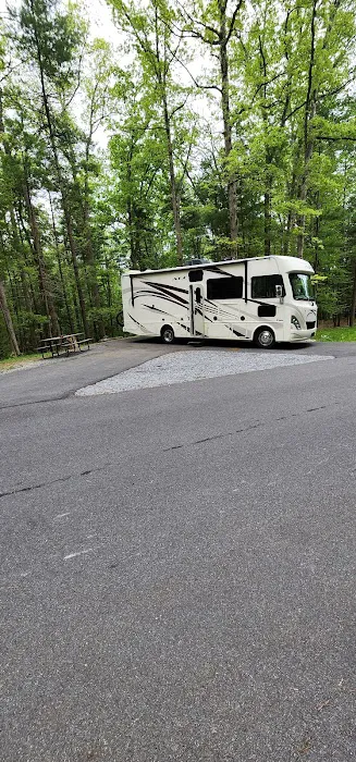 Chinquapin Hill Campground 5
