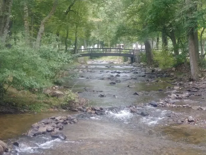 Chinquapin Hill Campground 4