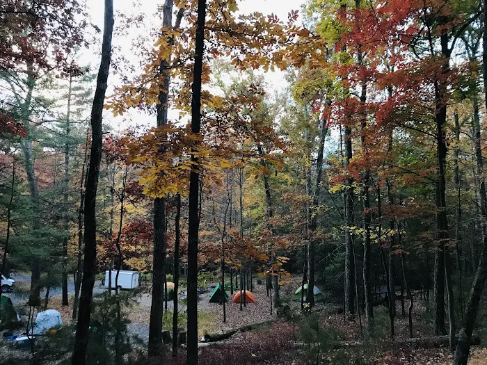 Chinquapin Hill Campground 2