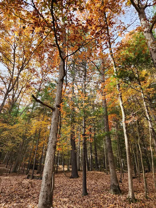 Chinquapin Hill Campground 3