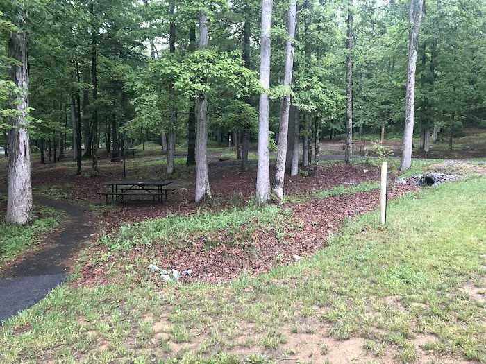 Chinquapin Hill Campground 6