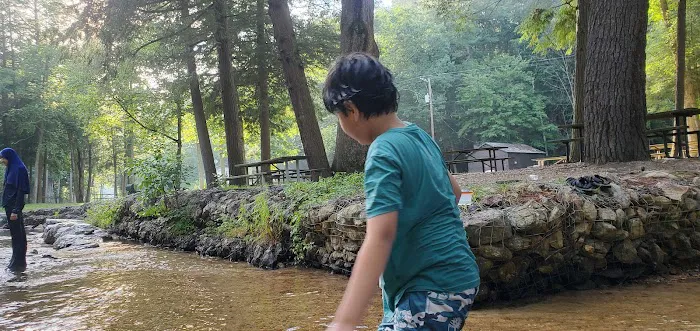 Chinquapin Hill Campground 8