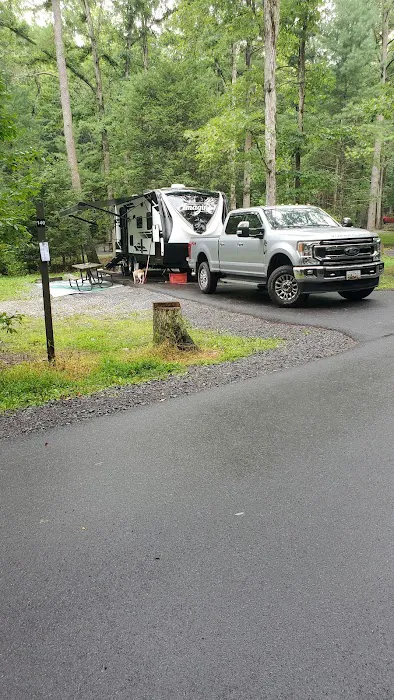 Hosack Run Campground 6