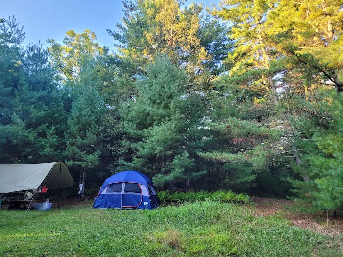 Primitive Campsite #12 1