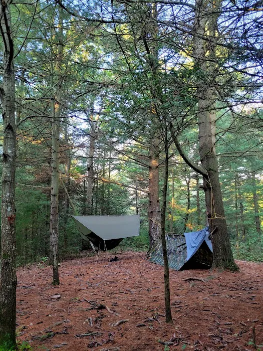 Primitive Campsite #12 0