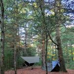 Primitive Campsite #12