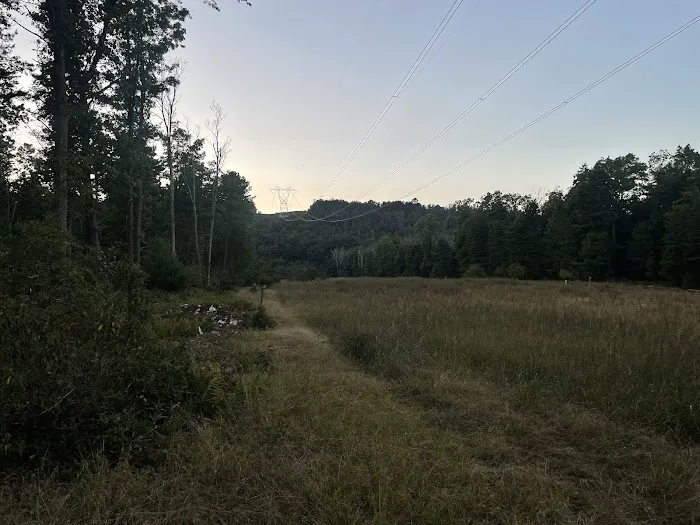 Primitive Campsite #12 8