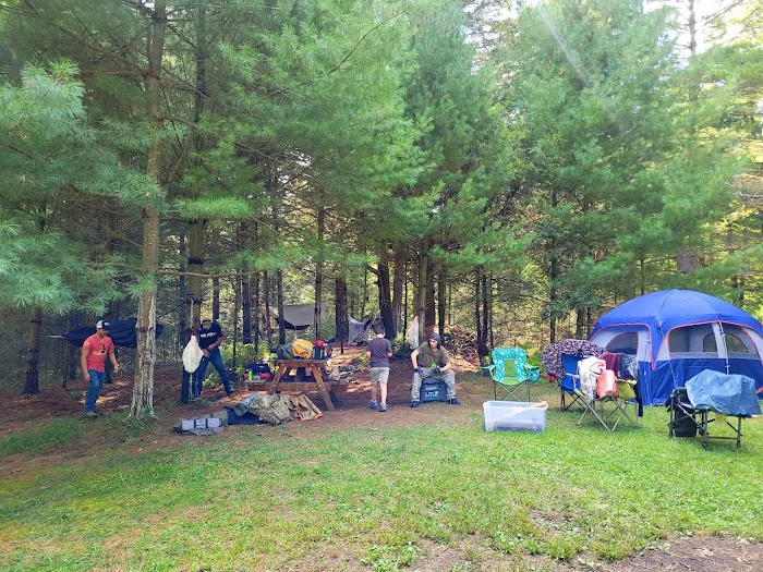 Primitive Campsite #12 9