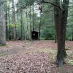 Camp Liahona at the Michaux