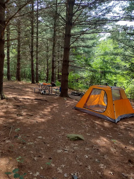 Whispering Pines 2