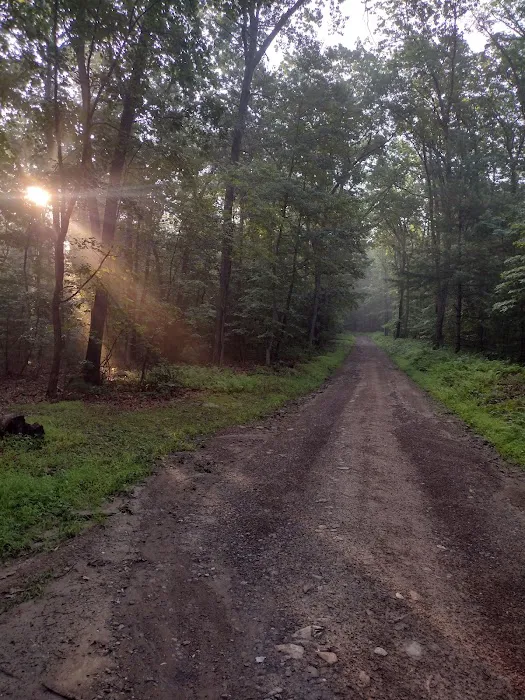 Whispering Pines 4